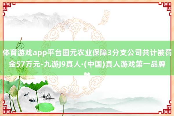 体育游戏app平台国元农业保障3分支公司共计被罚金57万元-九游J9真人·(中国)真人游戏第一品牌