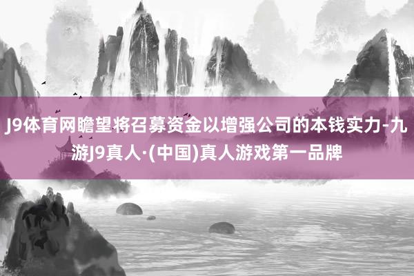 J9体育网瞻望将召募资金以增强公司的本钱实力-九游J9真人·(中国)真人游戏第一品牌