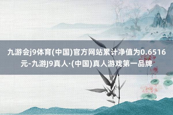 九游会j9体育(中国)官方网站累计净值为0.6516元-九游J9真人·(中国)真人游戏第一品牌