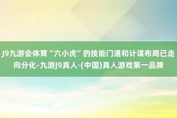 J9九游会体育“六小虎”的技能门道和计谋布局已走向分化-九游J9真人·(中国)真人游戏第一品牌