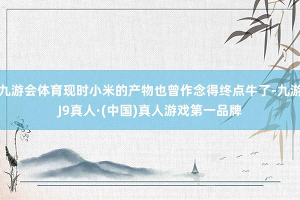 九游会体育现时小米的产物也曾作念得终点牛了-九游J9真人·(中国)真人游戏第一品牌