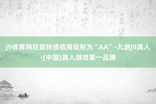 J9体育网旺能转债信用级别为“AA”-九游J9真人·(中国)真人游戏第一品牌