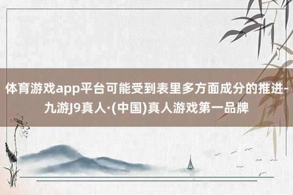 体育游戏app平台可能受到表里多方面成分的推进-九游J9真人·(中国)真人游戏第一品牌