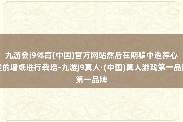 九游会j9体育(中国)官方网站然后在期骗中遴荐心爱的墙纸进行栽培-九游J9真人·(中国)真人游戏第一品牌